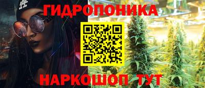 спиды Будённовск