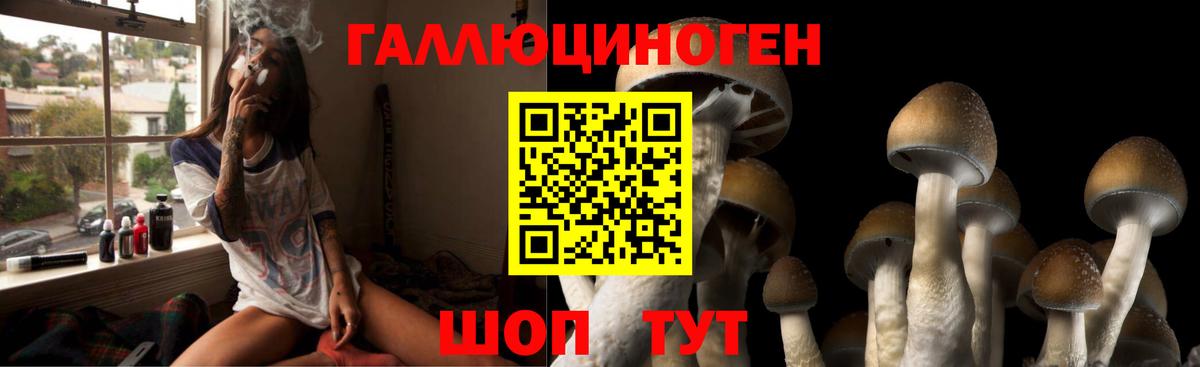 Саяногорск  Псилоцибиновые грибы Psilocybe  Галлюциногенные грибы ЛСД  Вход с VPN 